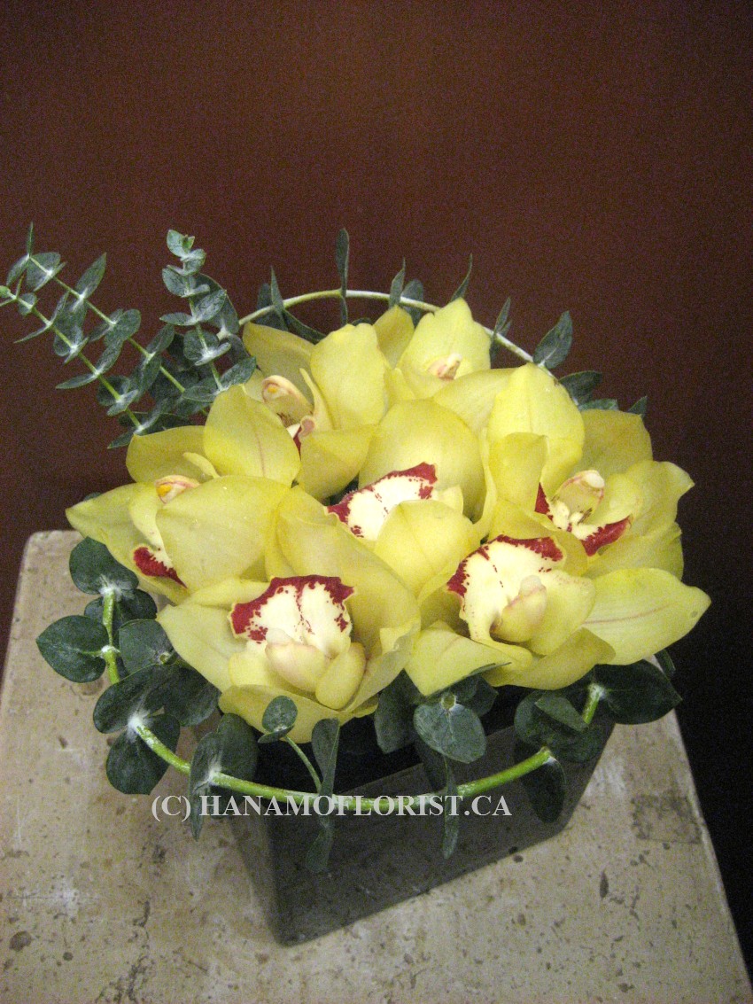 CUBE119 Cube glass vase with Cymbidium & Eucalyptus